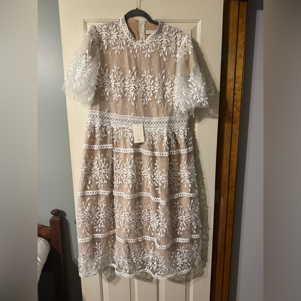 Ivy City Co. Sicily Dress with Flutter Sleeves